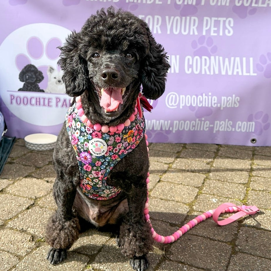 Raspberry Ripple Biothane Dog Lead