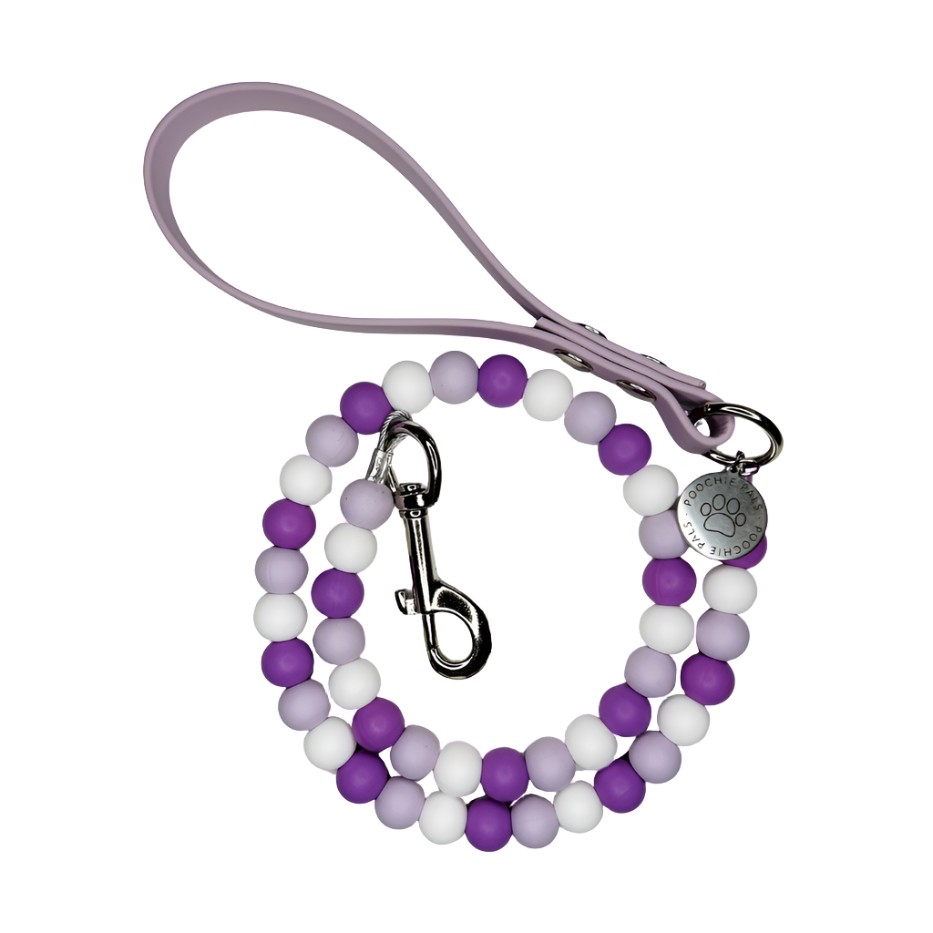 Purple Passion Biothane Dog Lead