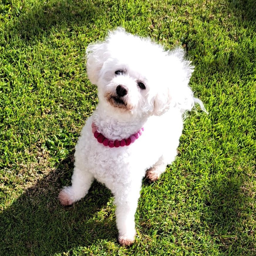 Quartet of Pinks Pom Pom Collar Necklace