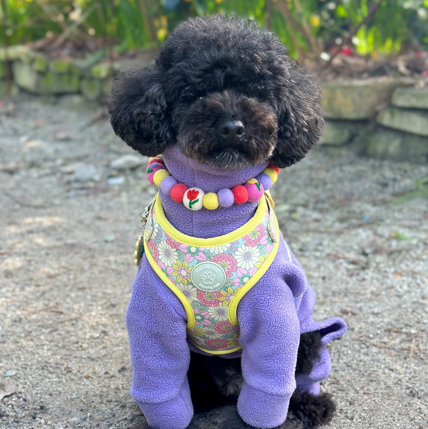 Tulip Tumble Pom Pom Collar