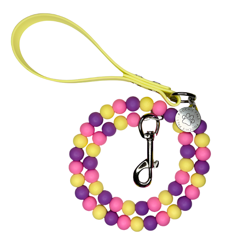 Sweet Treats Dog Lead