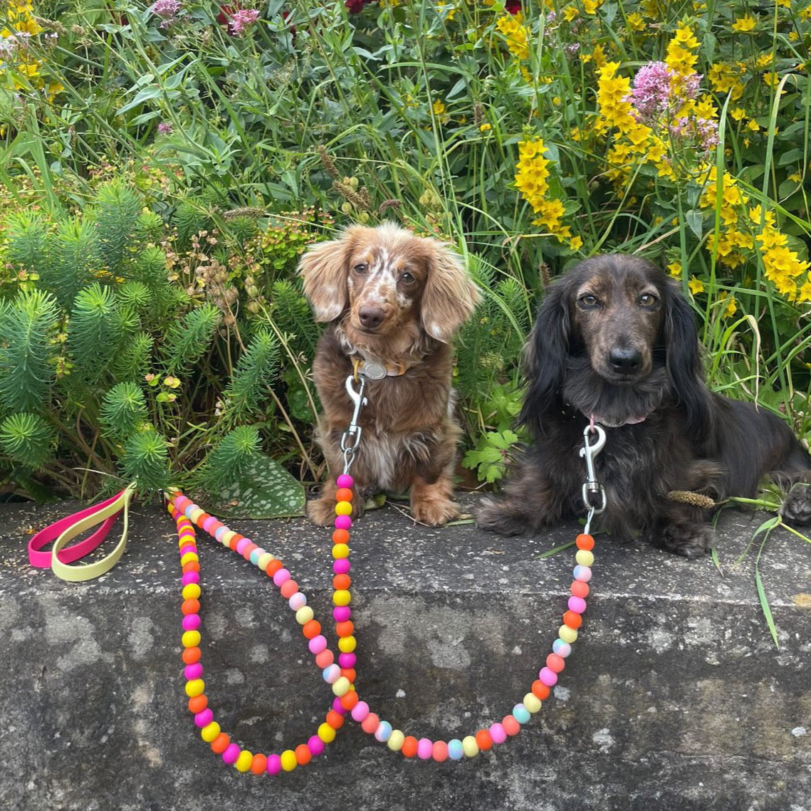 Custom Biothane Beaded Dog Lead