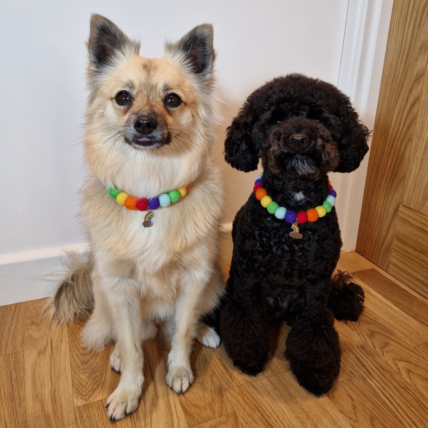 Best Friend Pet Pom Pom Collars