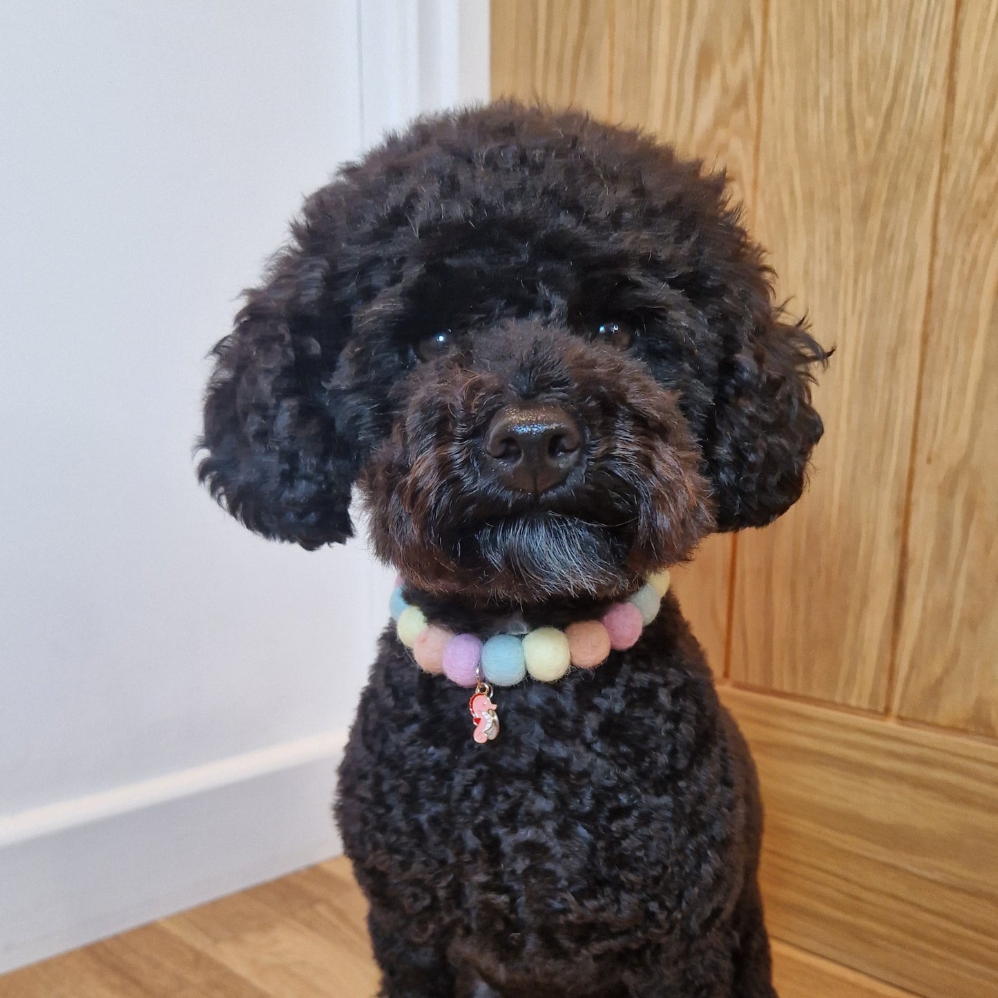 Ocean Pearl Pom Pom Collar