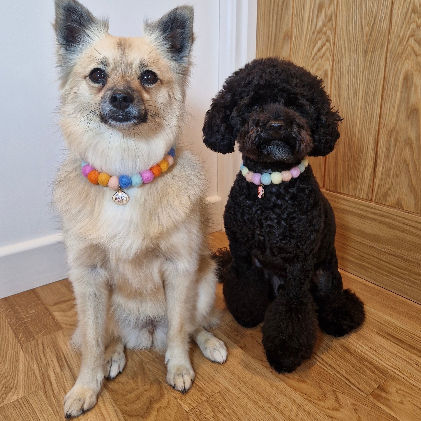 The Horizon Pom Pom Collar