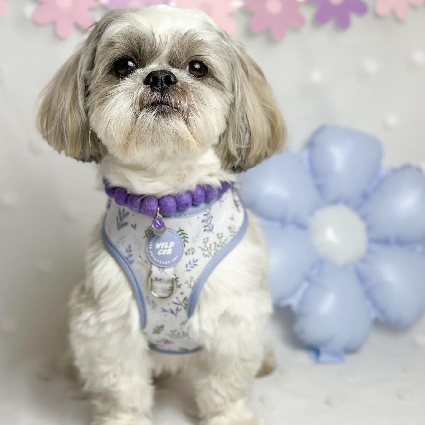 Lavender Pom Pom Collar