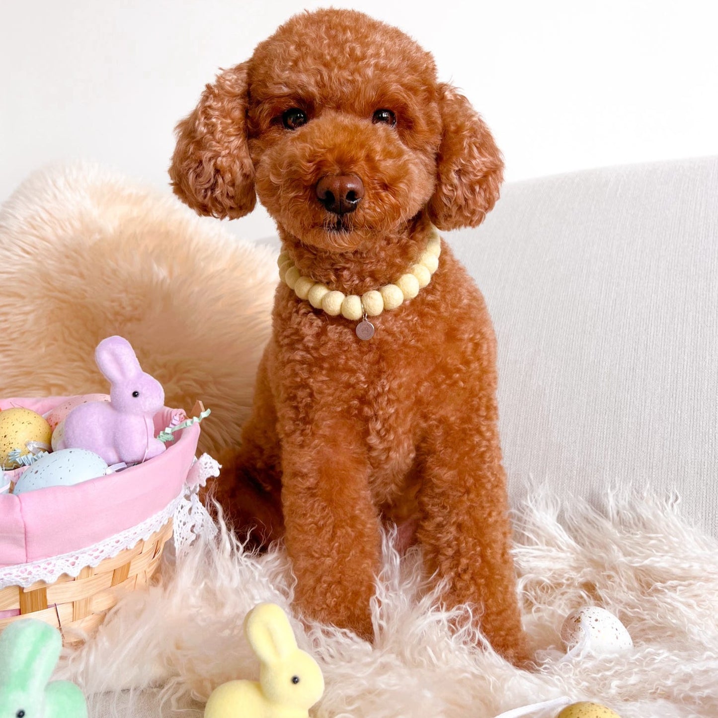 Lemon chello Pom Pom Collar
