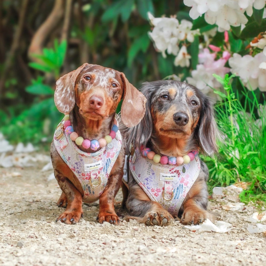 Dehlia Flower Pom Pom Collar