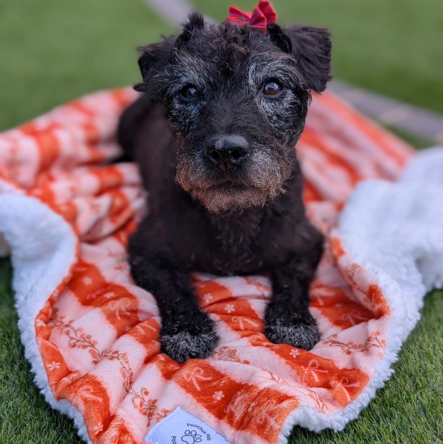 Bows & Blooms Blanket