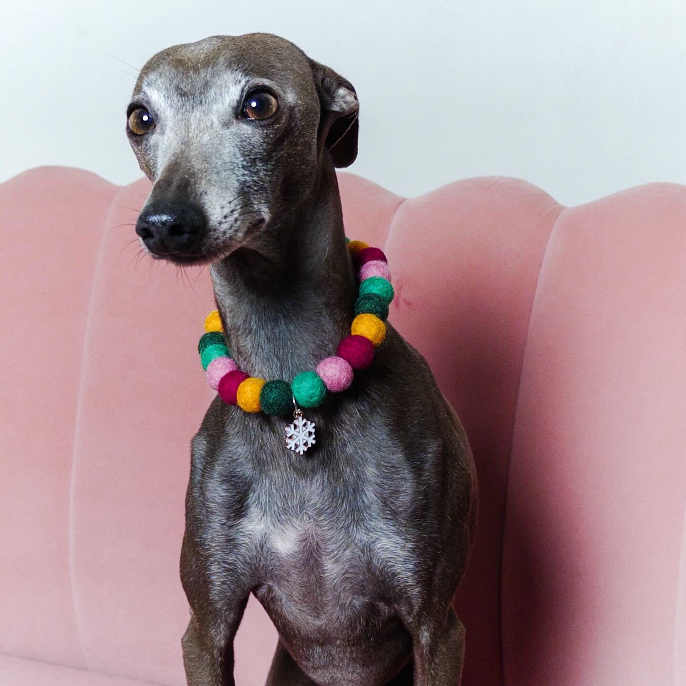 Very Vintage Christmas Collar