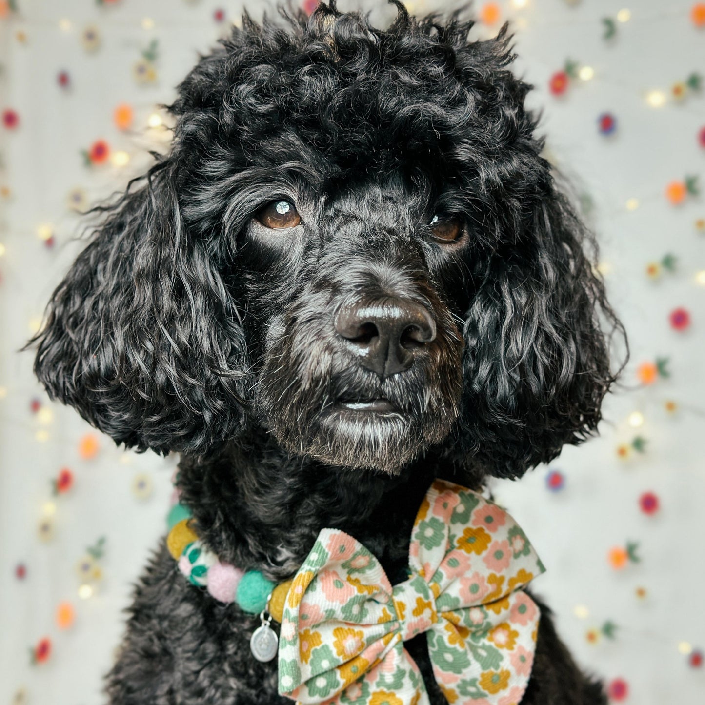 Botanical Beauty Pom Pom Collar