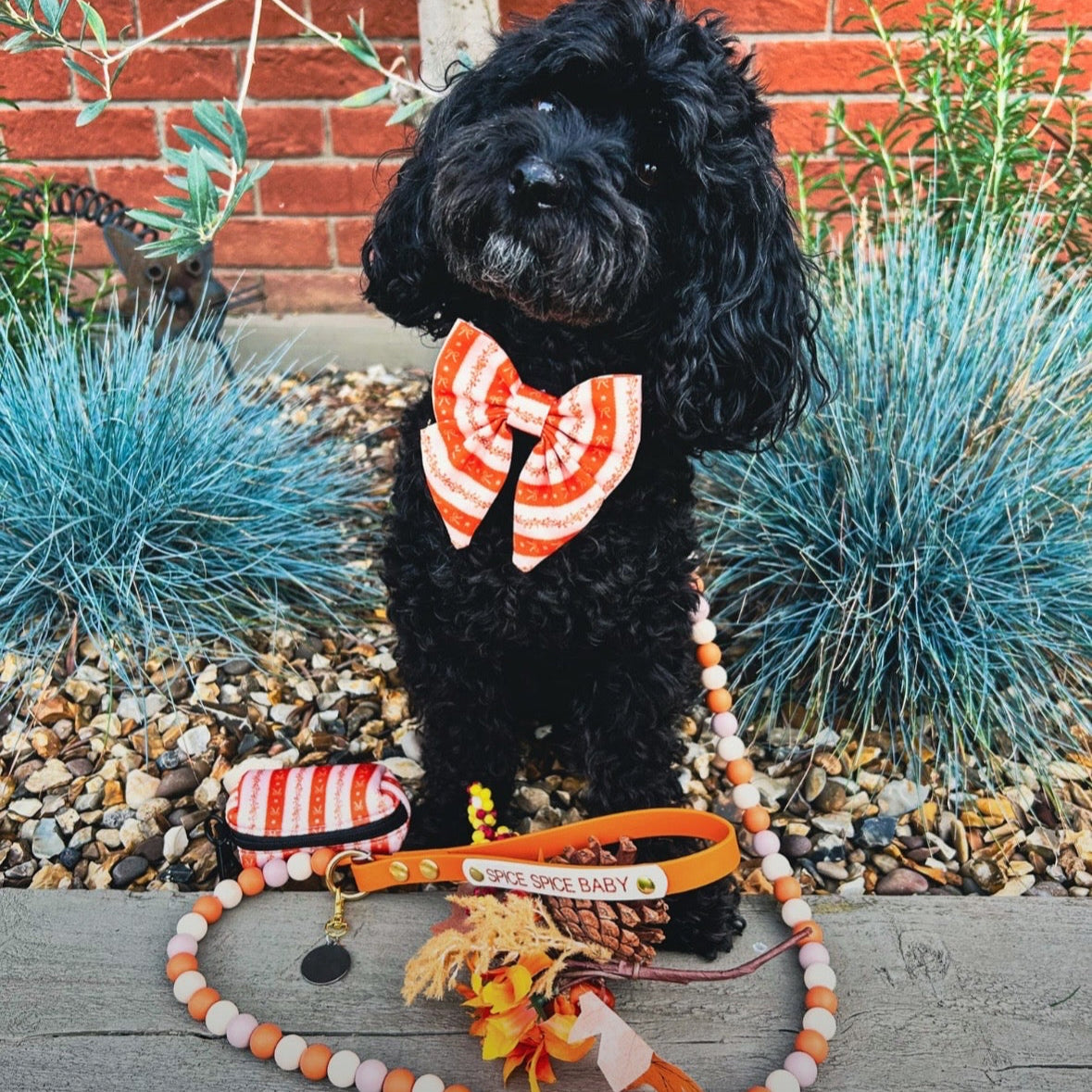 Bows & Blooms Poop Bag Holder
