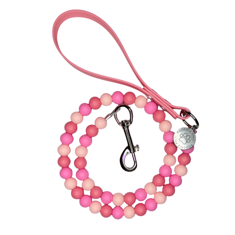 Raspberry Ripple Biothane Dog Lead