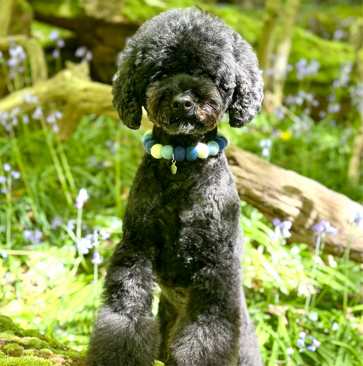 Lets Get Wavy Pom Pom Collar