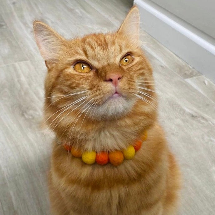 Cornish Sunset Pet Pom Pom Necklace Collar