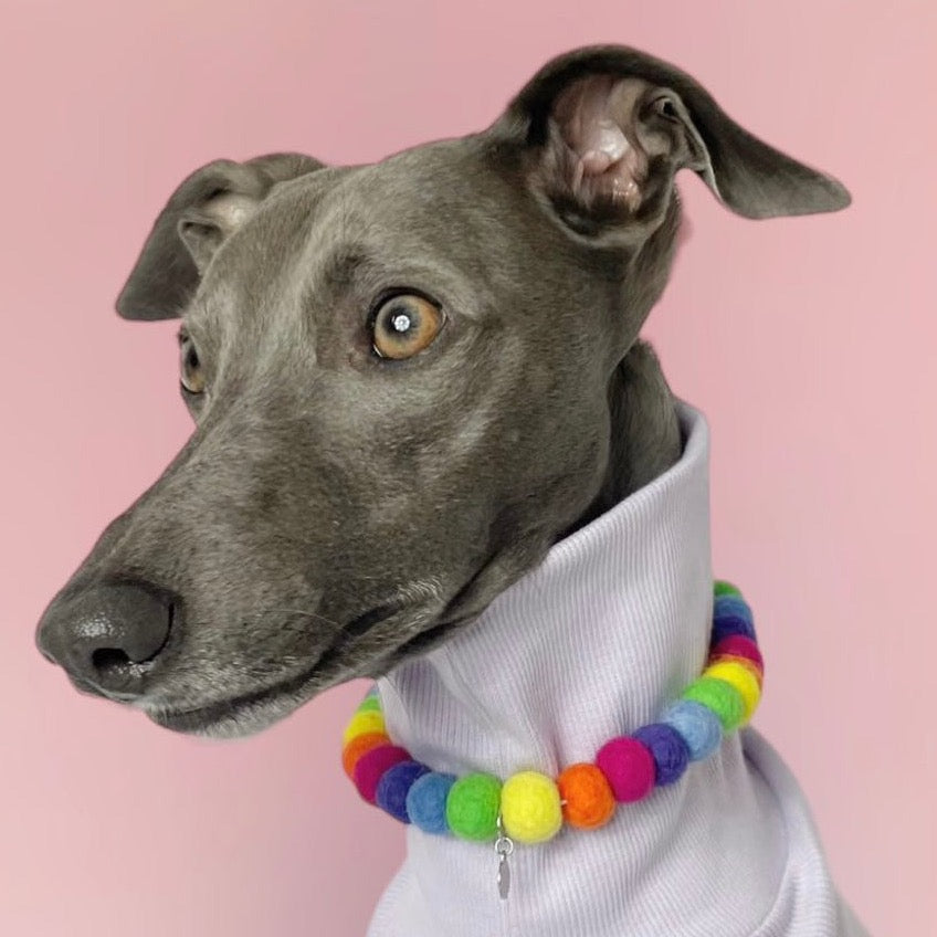 Rainbow Pom Pom Dog Collar Necklace