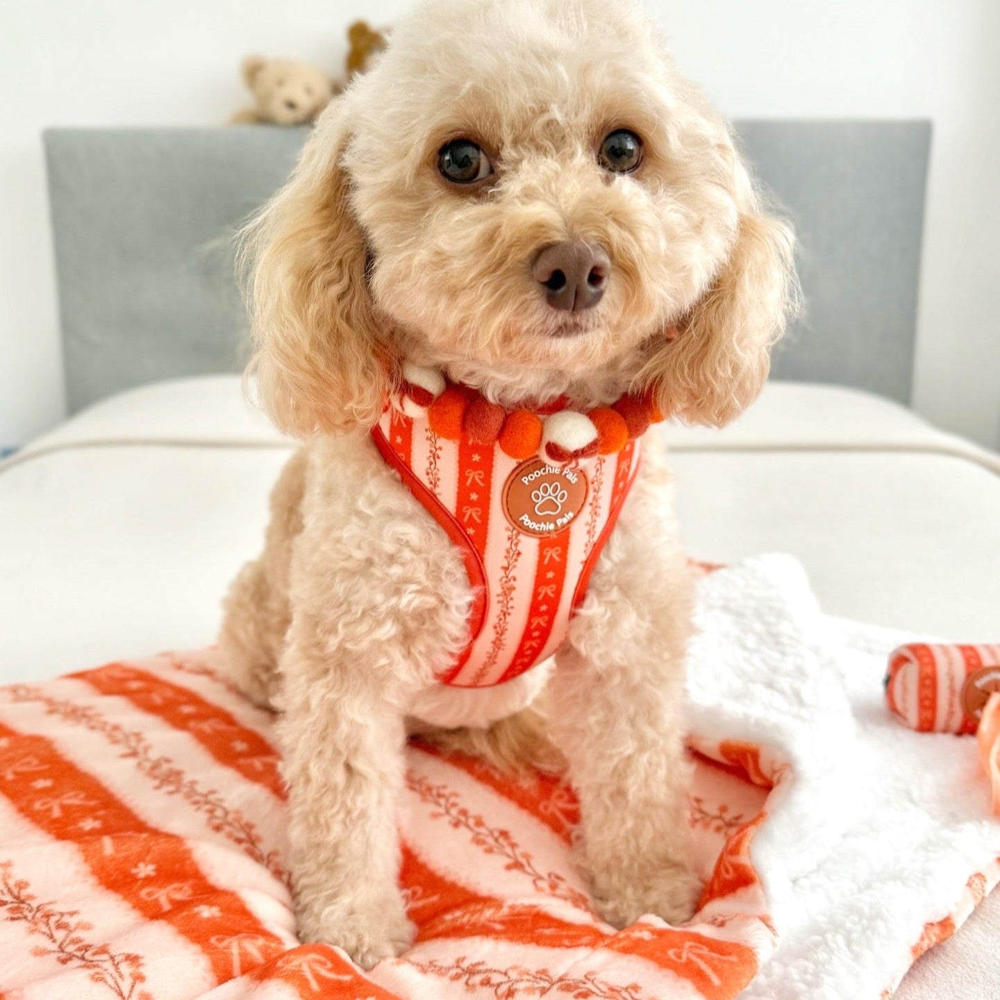 Bows & Blooms Blanket