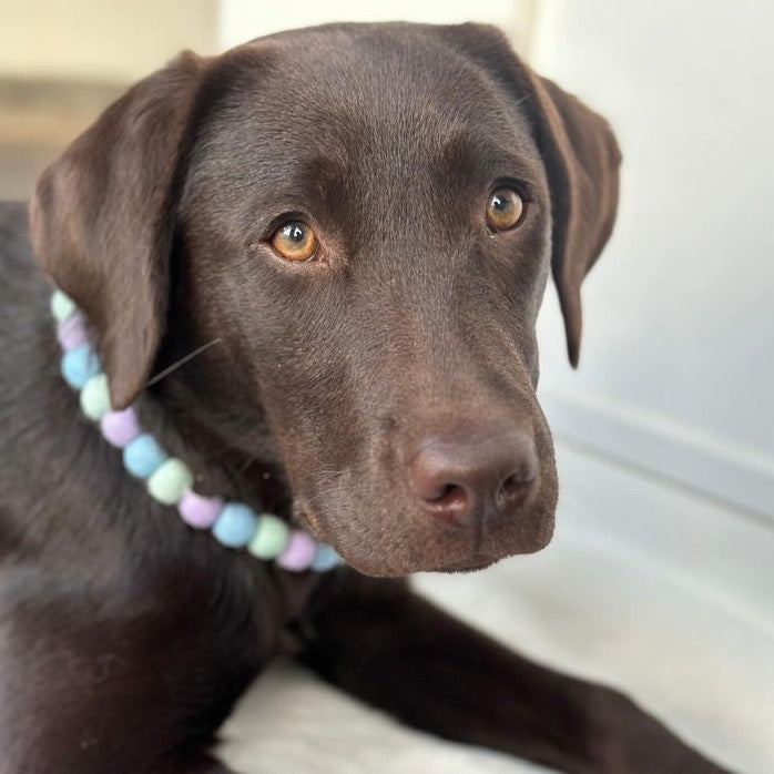 Slush Puppy Pom Pom Collar