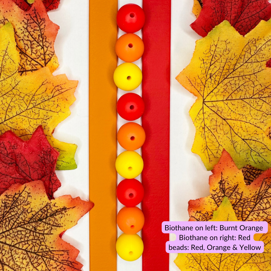 Autumn Biothane Beaded Dog Lead