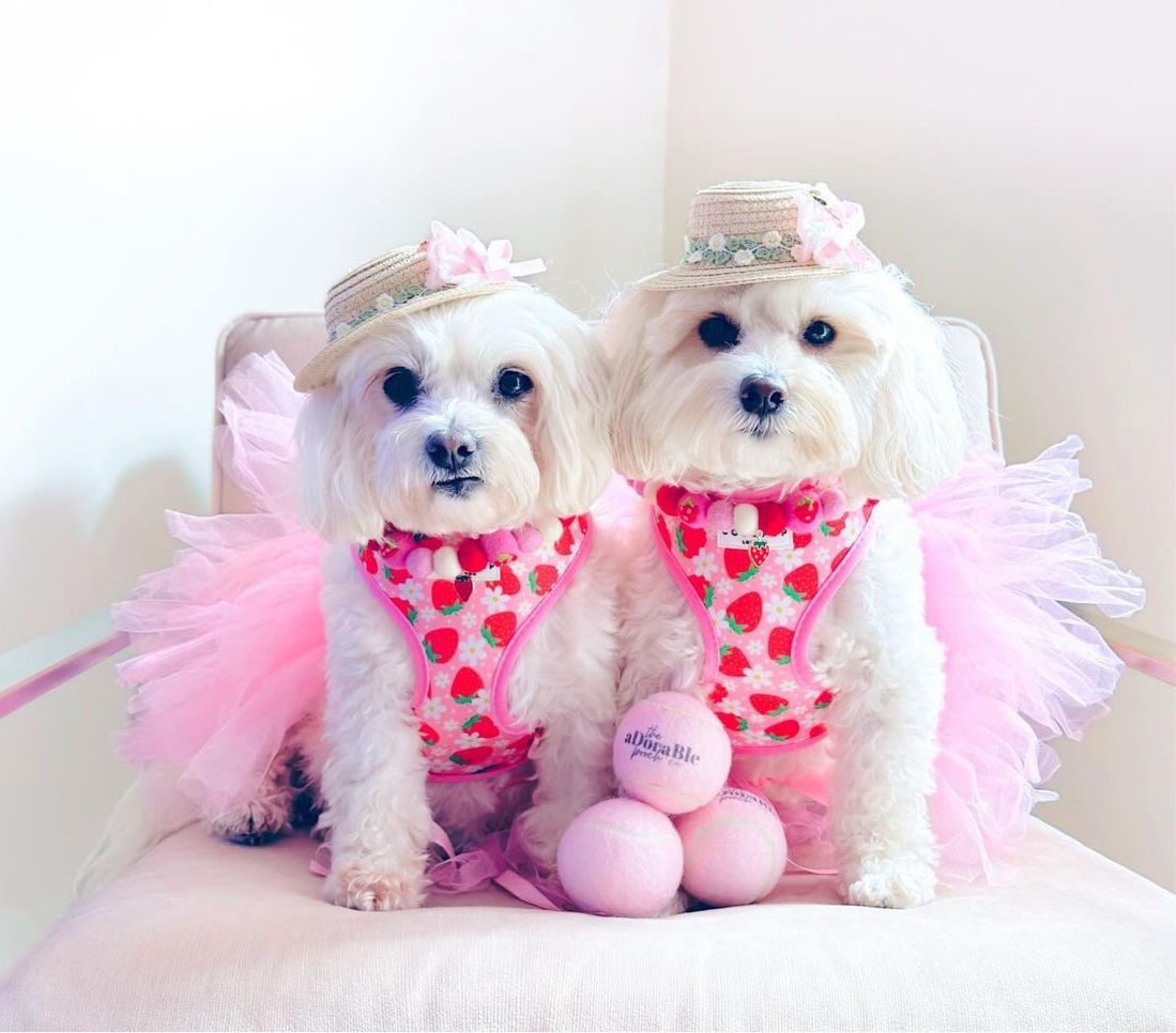 Strawberries & Cream Fruit Pom Pom Collar