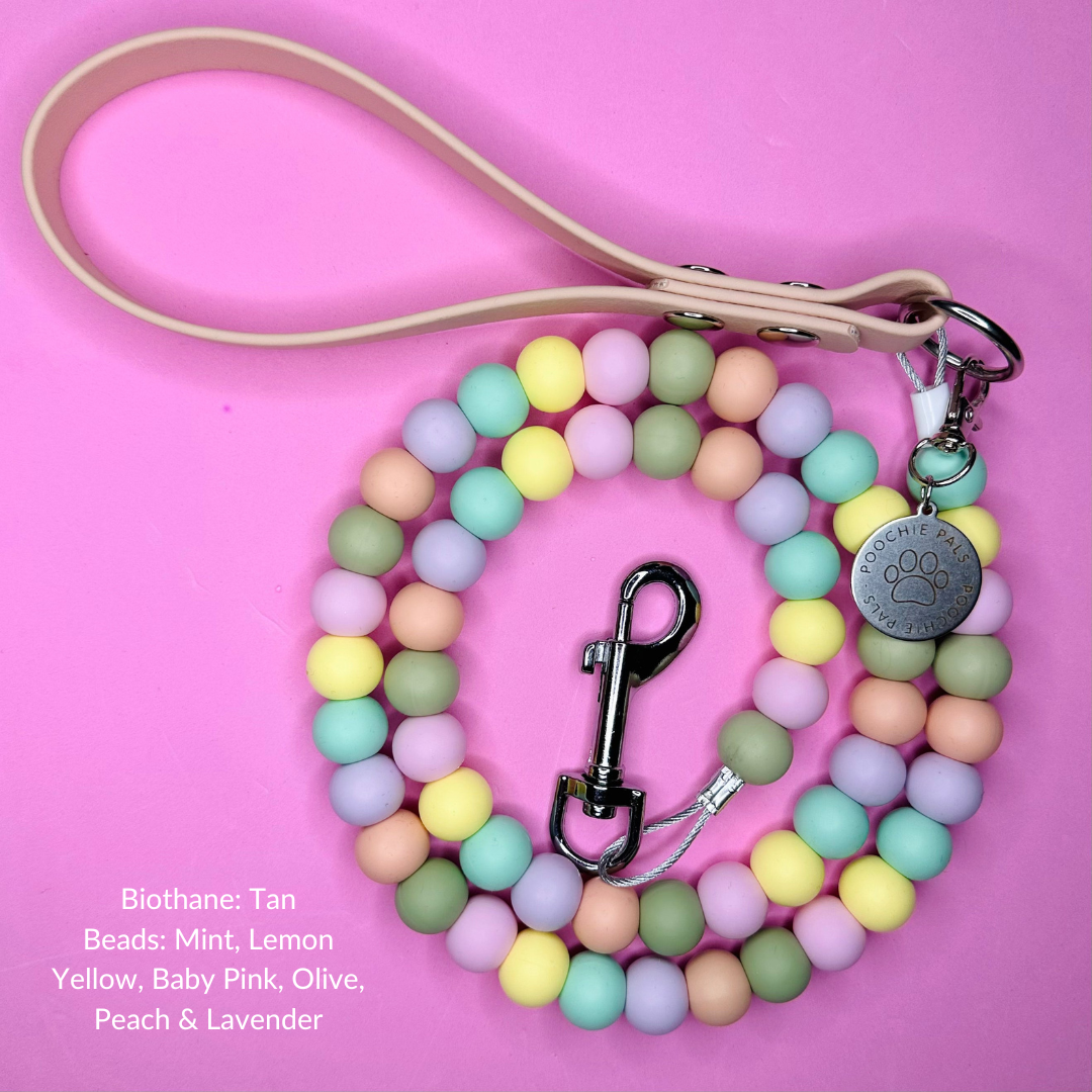 Custom Biothane Beaded Dog Lead