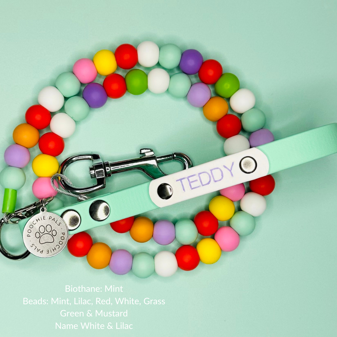 Custom Biothane Beaded Dog Lead