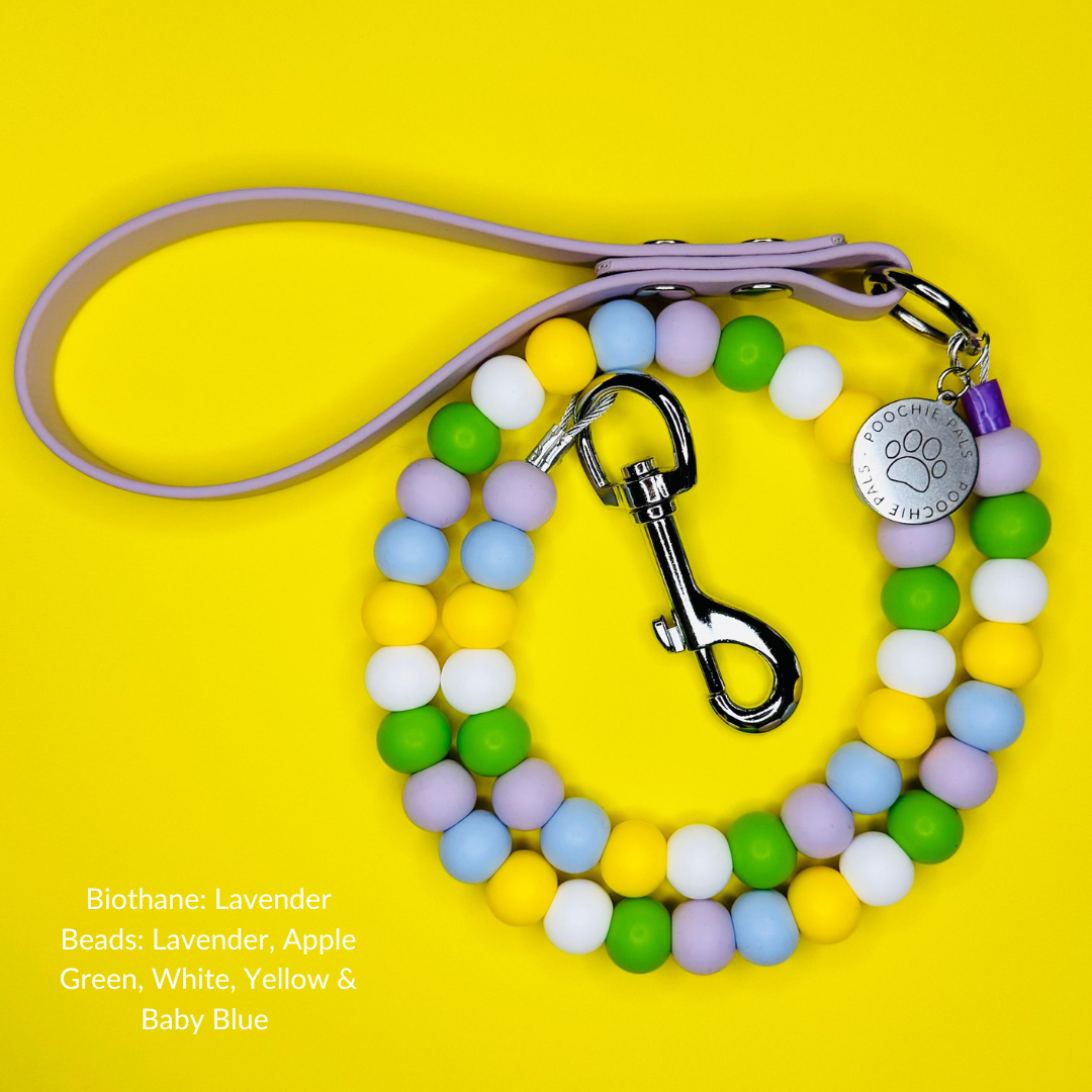 Custom Biothane Beaded Dog Lead