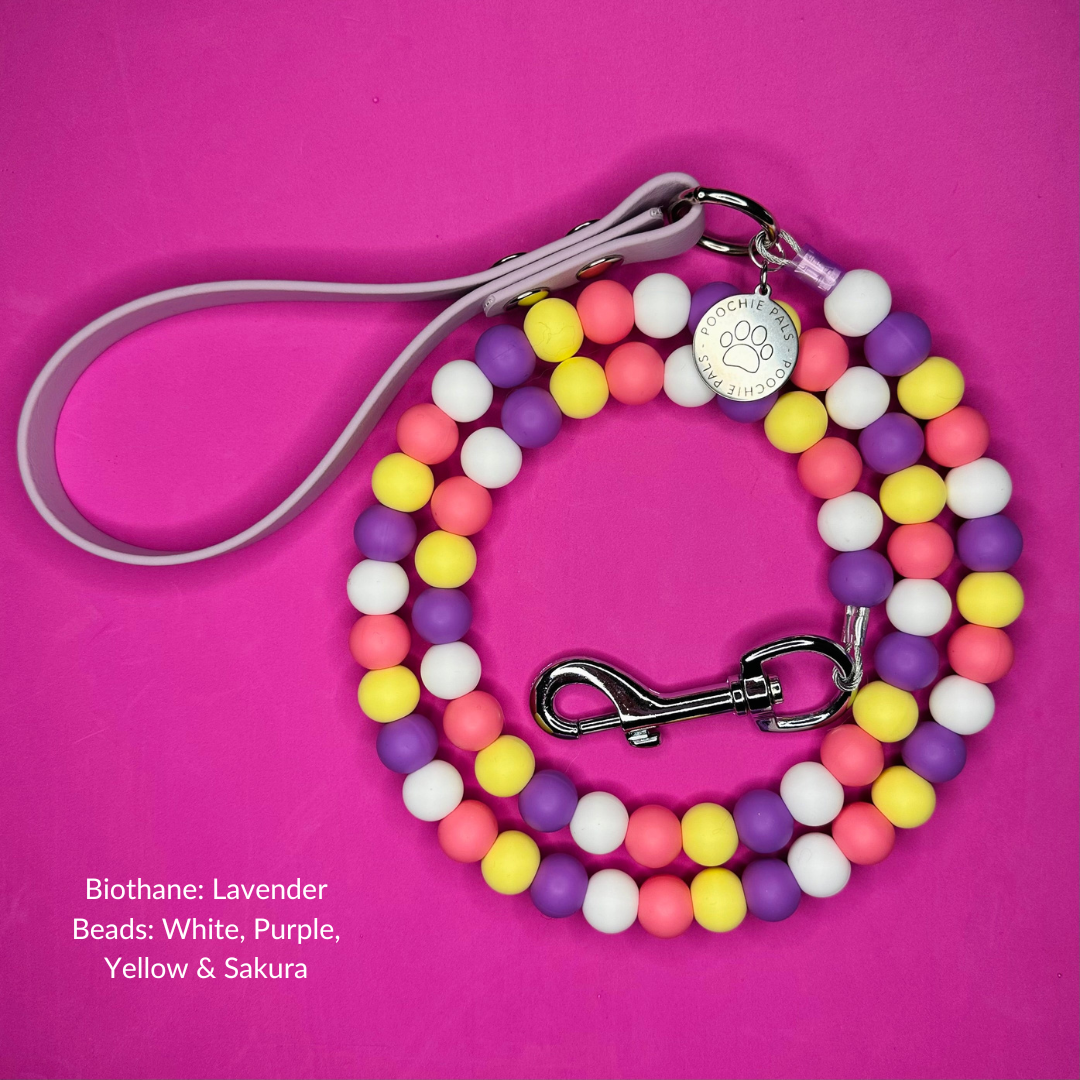 Custom Biothane Beaded Dog Lead