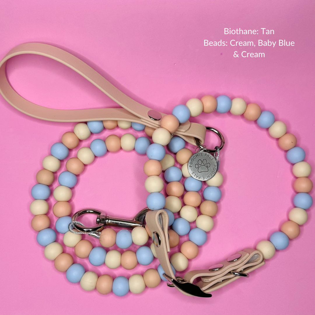 Custom Biothane Beaded Dog Lead