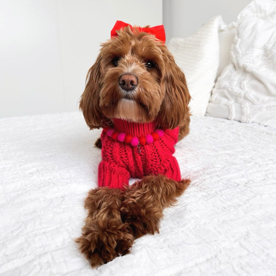 Little Pup Love Pom Pom Collar