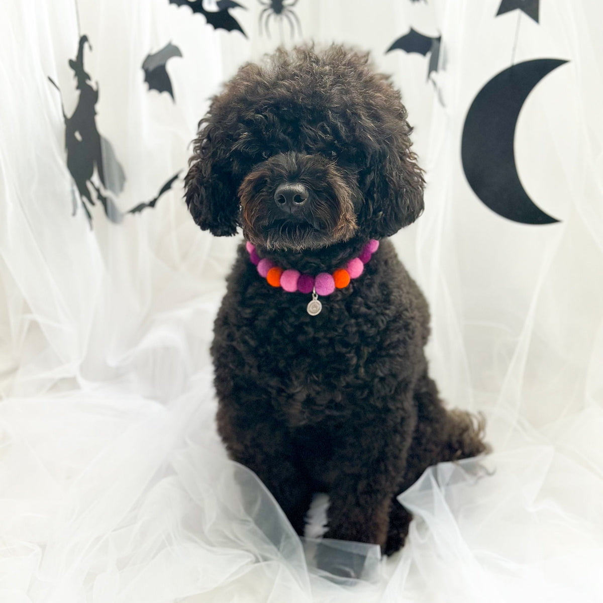 Love Potion Halloween Pom Pom Collar