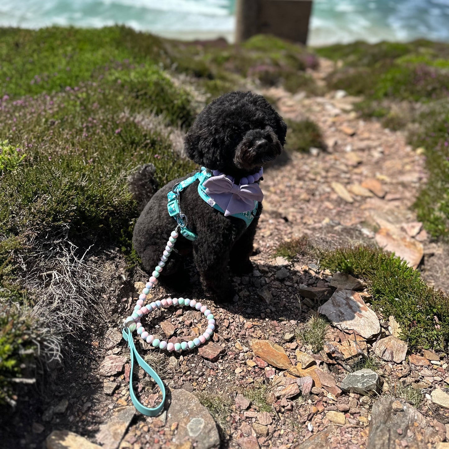 Pastel Marble Biothane Dog Lead