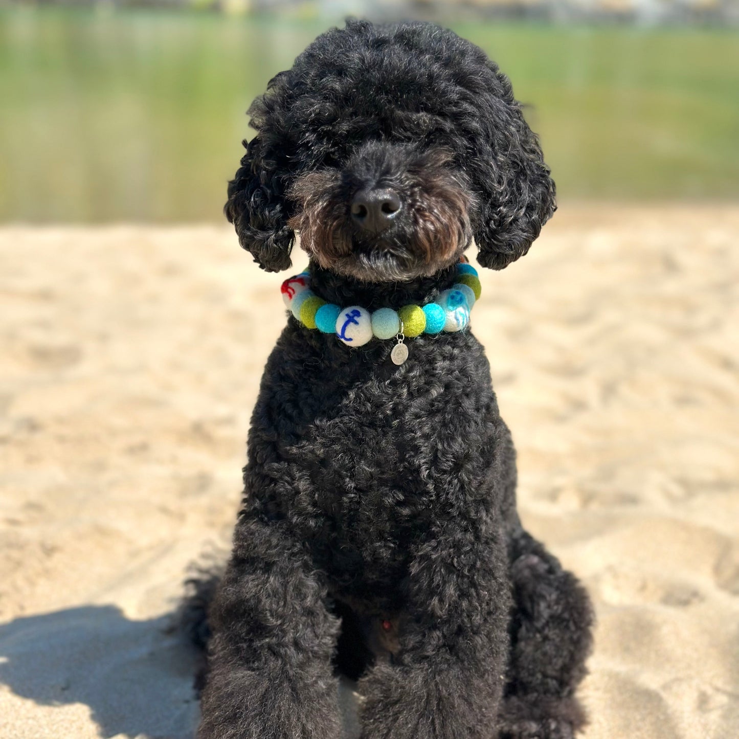 Beach Boy Pom Pom Collar