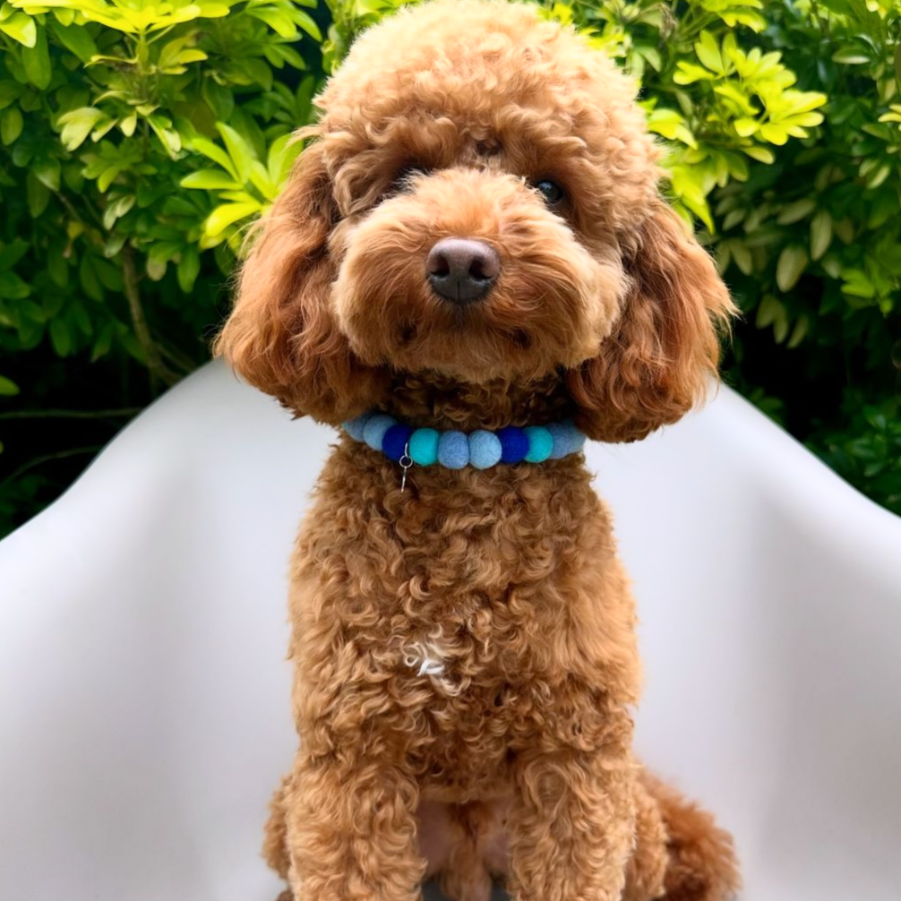 Sea Blues Pom Pom Collar
