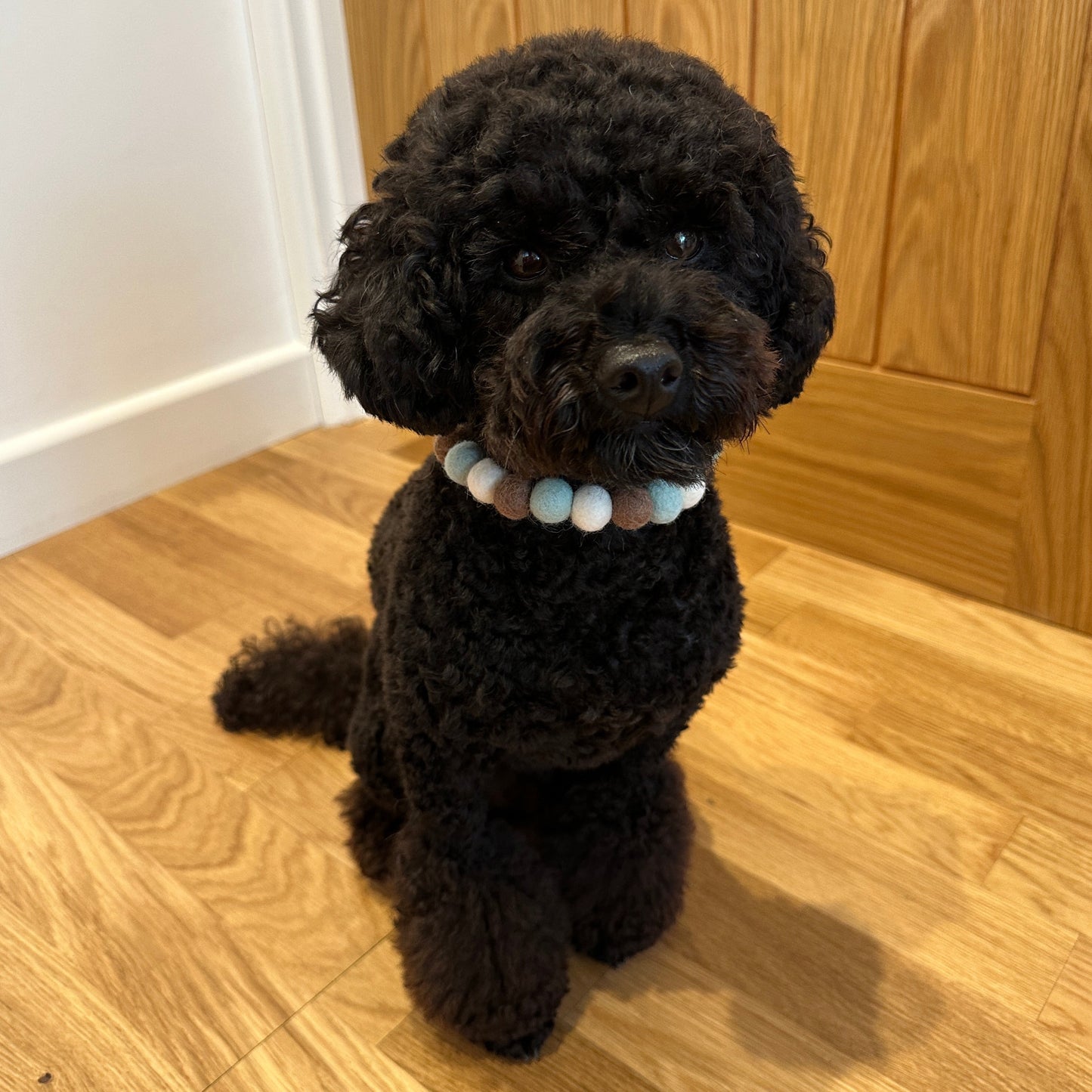 Mint Chocolate Chip Pom Pom Collar