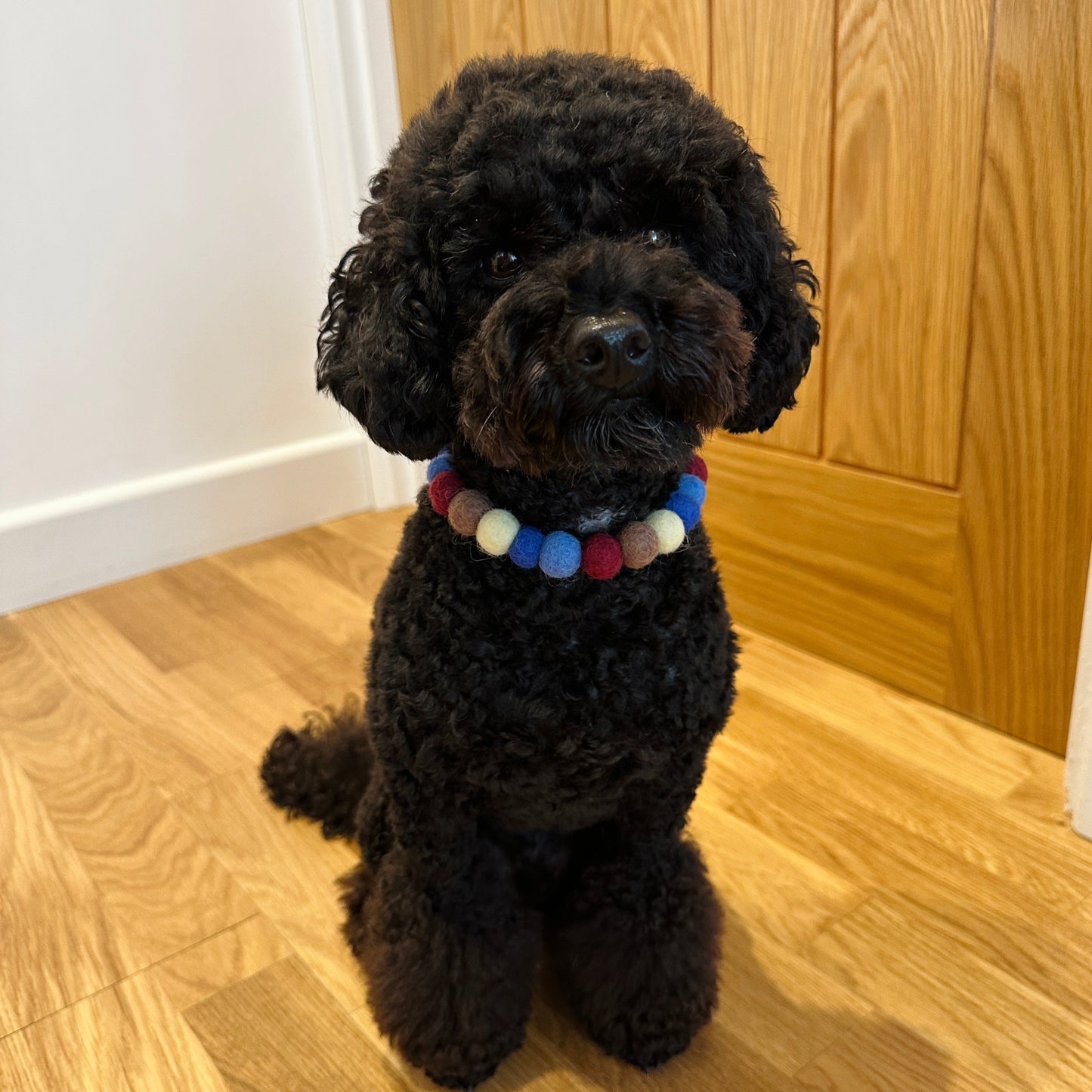 Muddy Puddles Pom Pom Collar