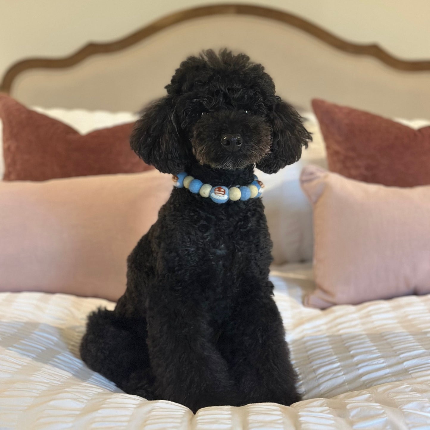 Blueberry Pancake Pom Pom Collar
