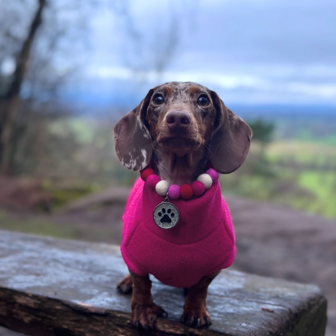 Raspberry Ripple Pom Pom Collar