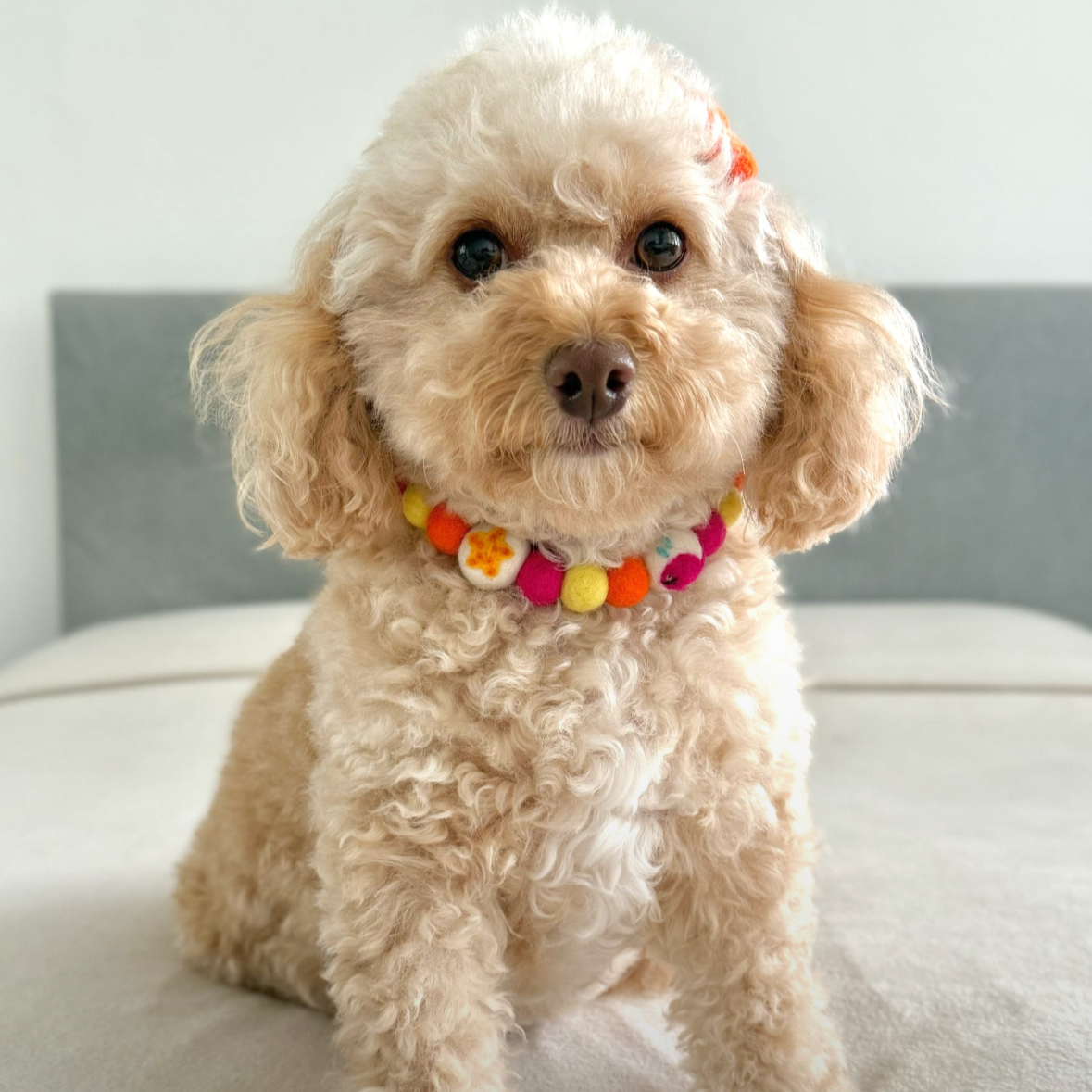 Beach Babe Pom Pom Collar