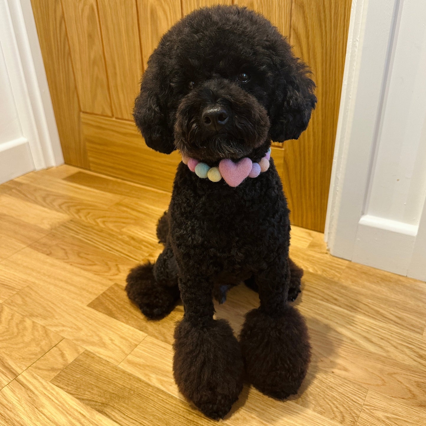Perfectly Pastel Heart Pom Pom Collar