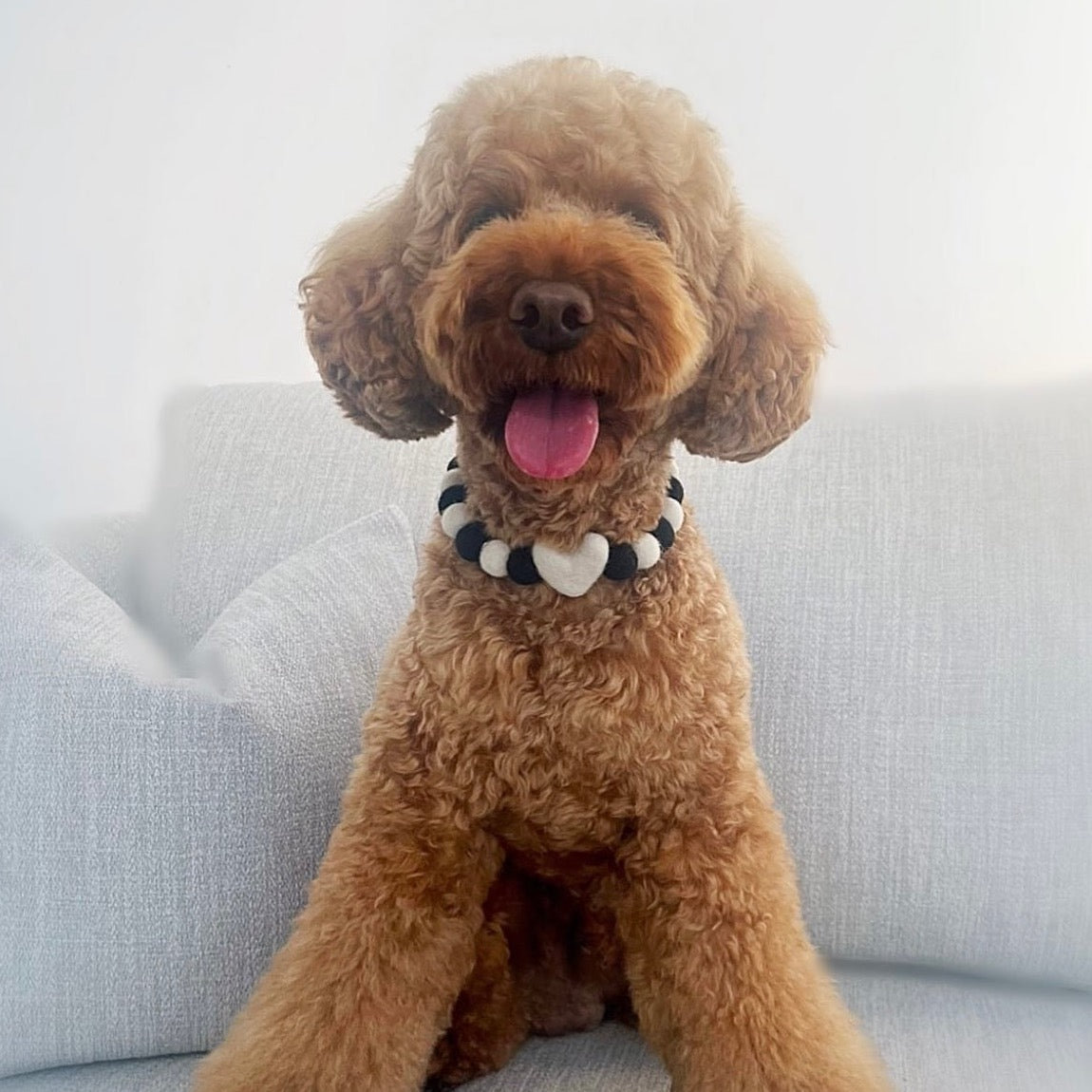 Monocrhome Heart Pom Pom Collar