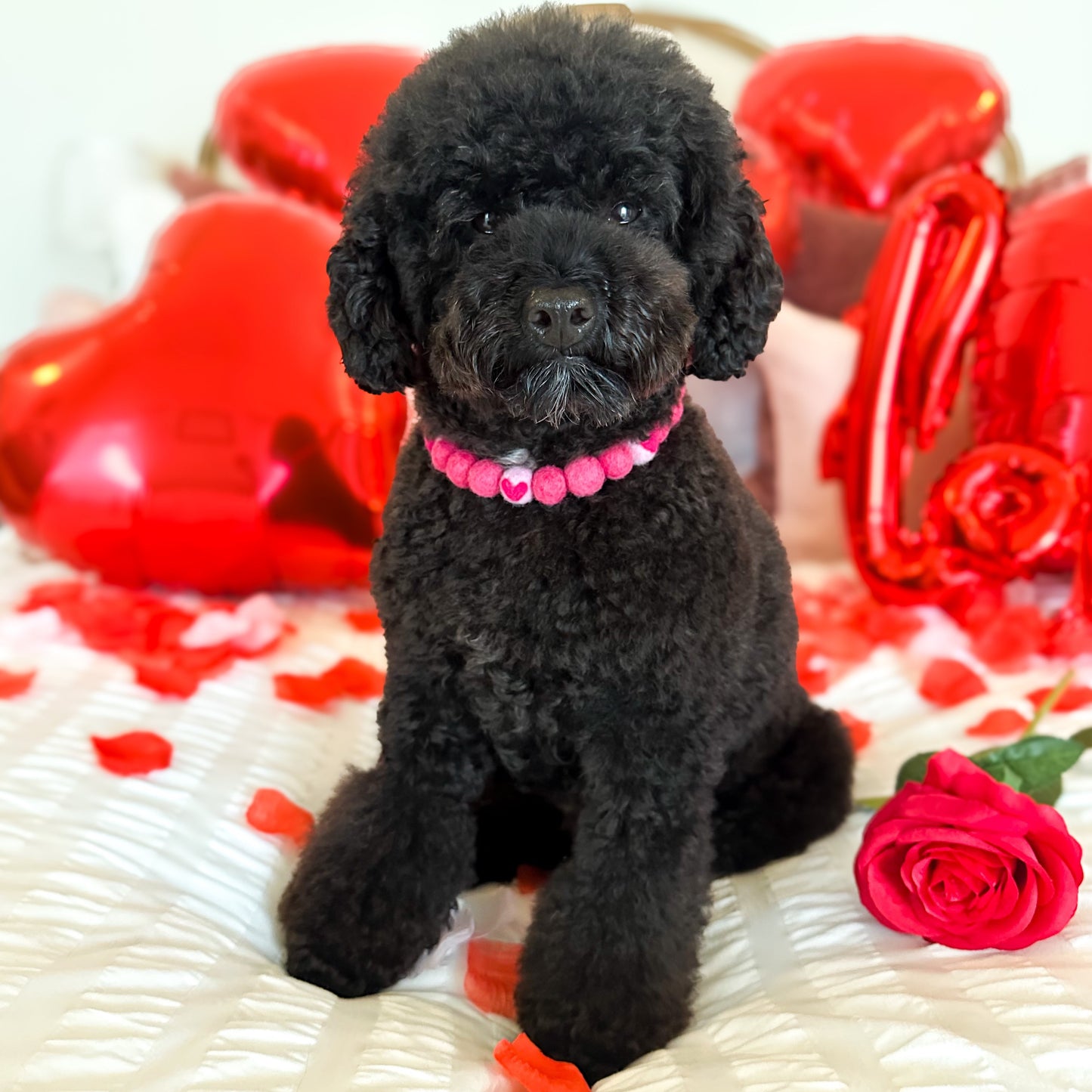 Perfect Match Pom Pom Collar