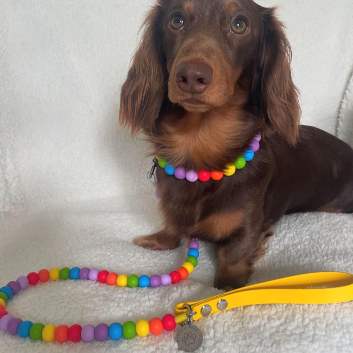 Rainbow Biothane Dog Lead
