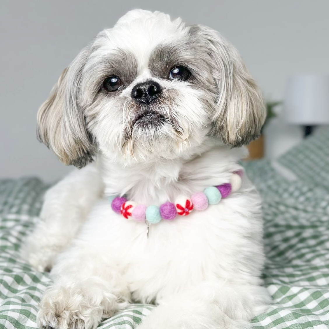 Geranium Flower Pom Pom Collar