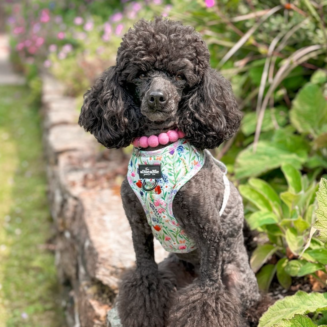 Tulip Pom Pom Collar