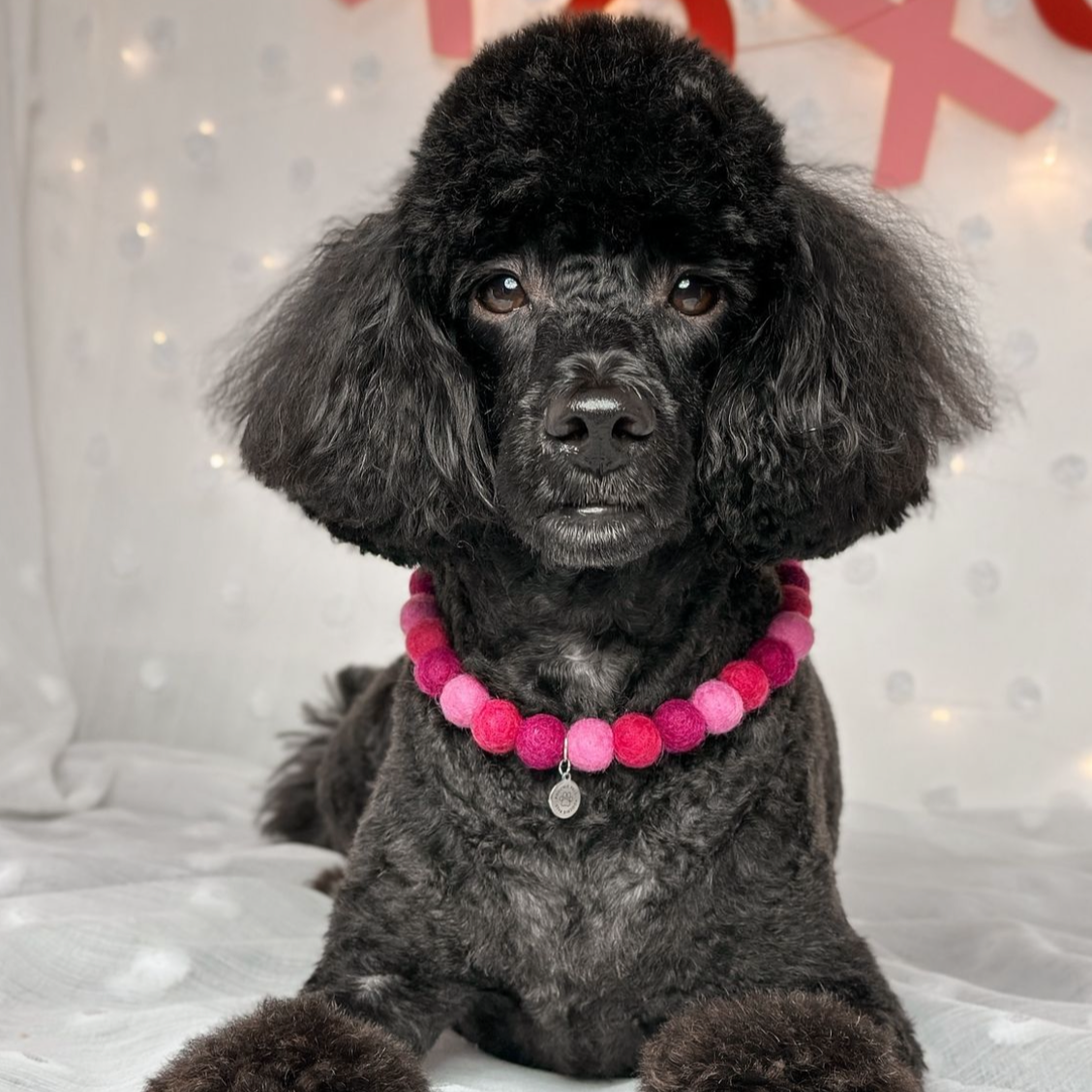 Roses Pom Pom Collar