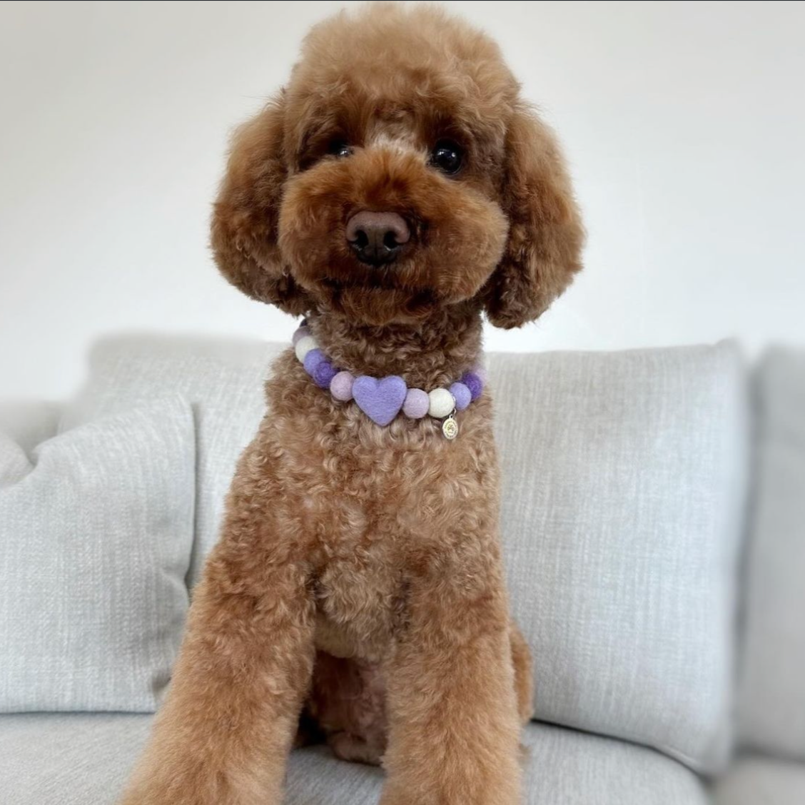 Heartfelt Pom Pom Collar
