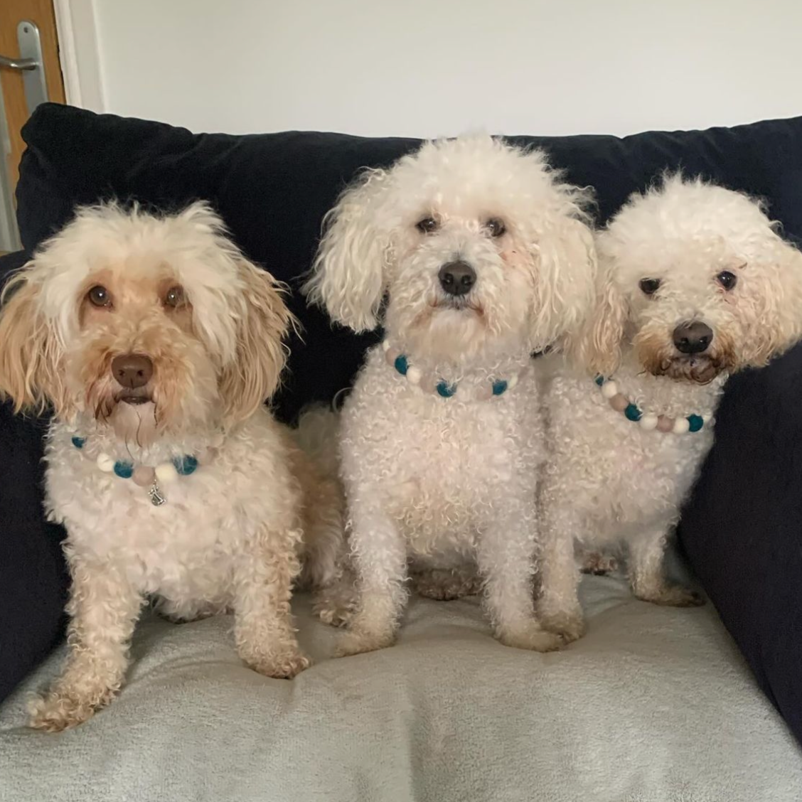 Mountain Escape Pom Pom Collar