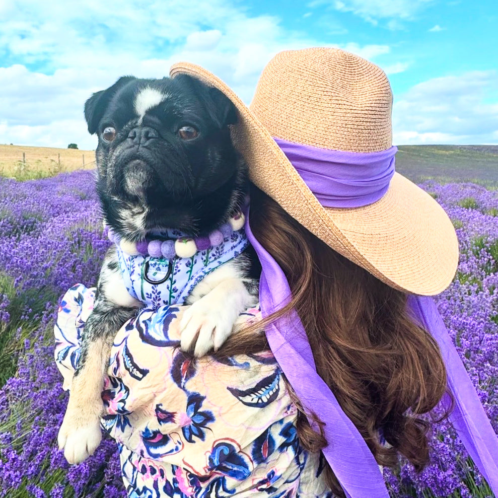 Lavender Field Flower Pom Pom Collar