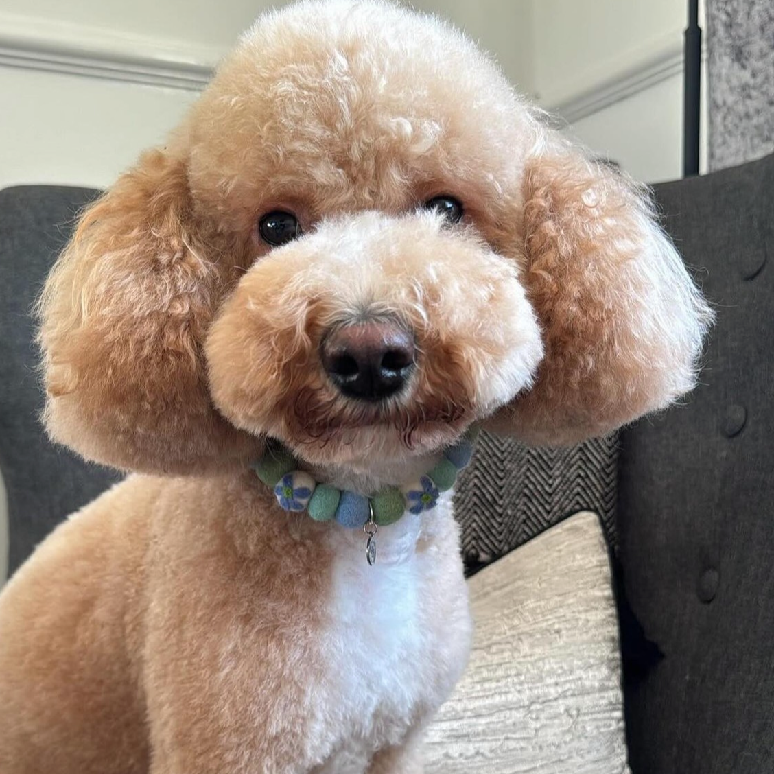 Spring Garden Flower Pom Pom Collar